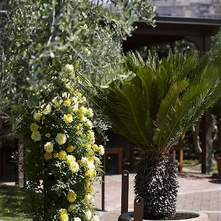 Il Roseto Assisi