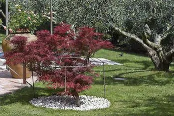 Country house Il Roseto