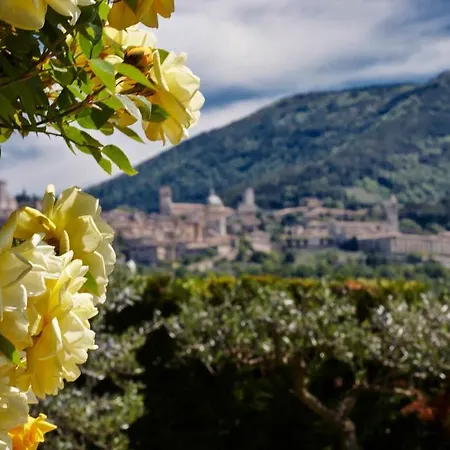 Country house Il Roseto *